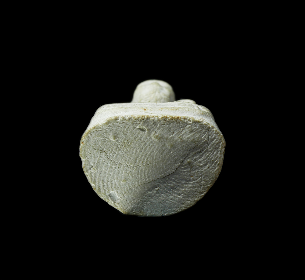 28Apr25 (208)p.jpg - พระผงหลวงปู่ทวด ปี2555 หลวงพ่อไฉน ฉันทสาโร วัดป่าคุณากร(โพธิ์นิมิตร) ขอนแก่น ตำนานเสือหัวขาดแห่งที่ราบสูง ปกป้องคุ้มภัยได้ยอดเยี่ยม ประสบการณ์ดีมาก แจ [..] | https://kamulet.in.th